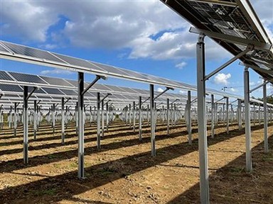 Sistema de muntatge fotovoltaic per a agrovoltaics