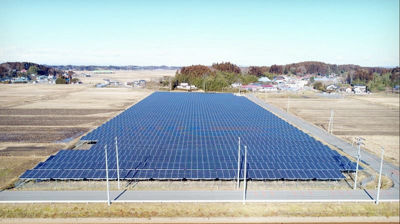 Activitat de ruscs d'abelles a la granja solar