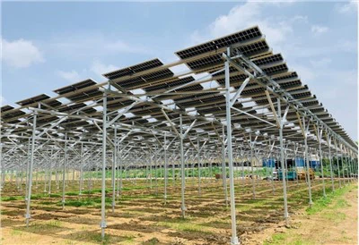 Estructura de muntatge d'agricultura fotovoltaica Sistema de muntatge de granja solar
