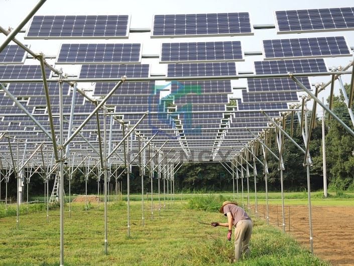Agriculture Solar Farm Ground Mounting System