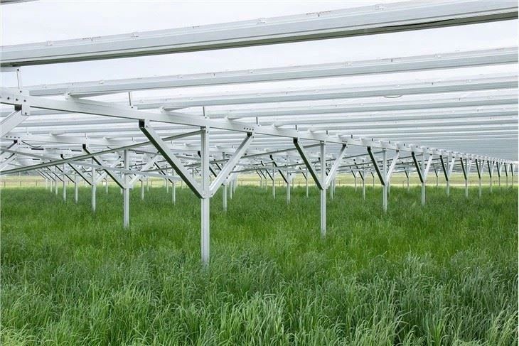 PV Mounting System For Agrivoltaics price